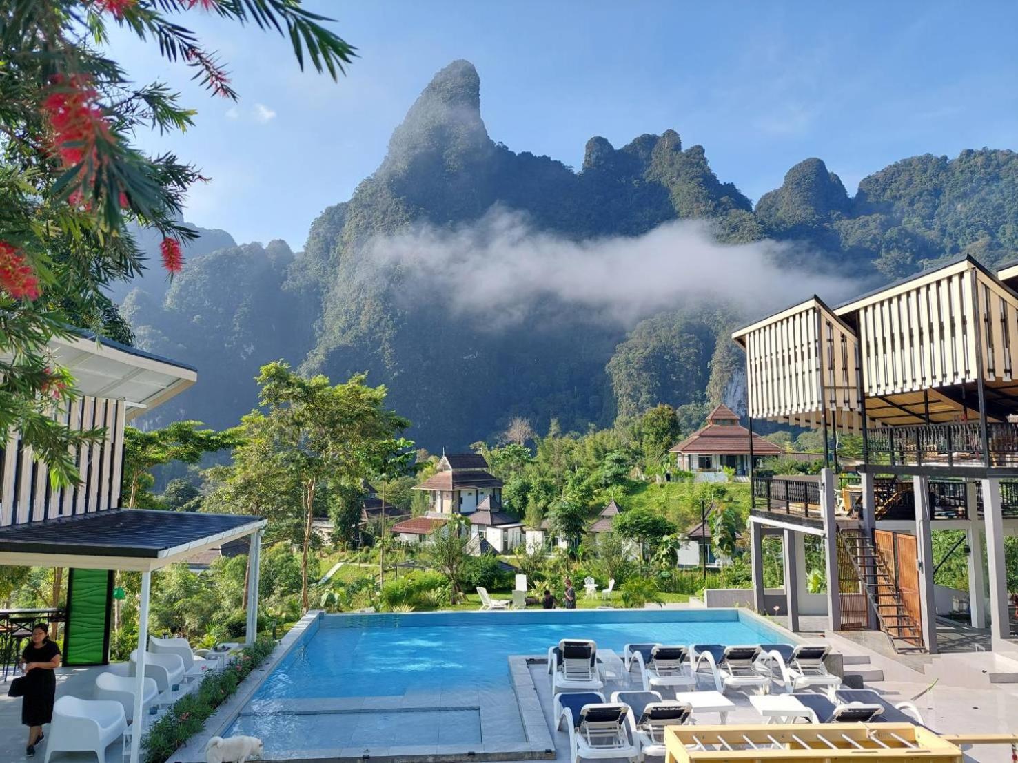 Magical Mountain View *