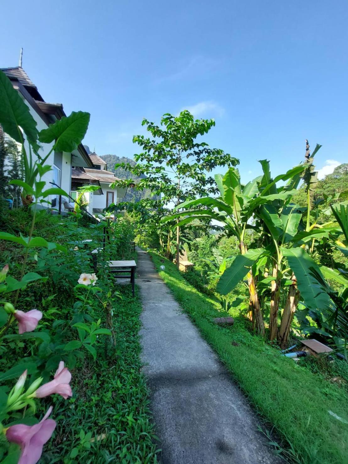Magical Mountain View Lodge *